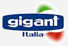 10 Logo Gigant Italia