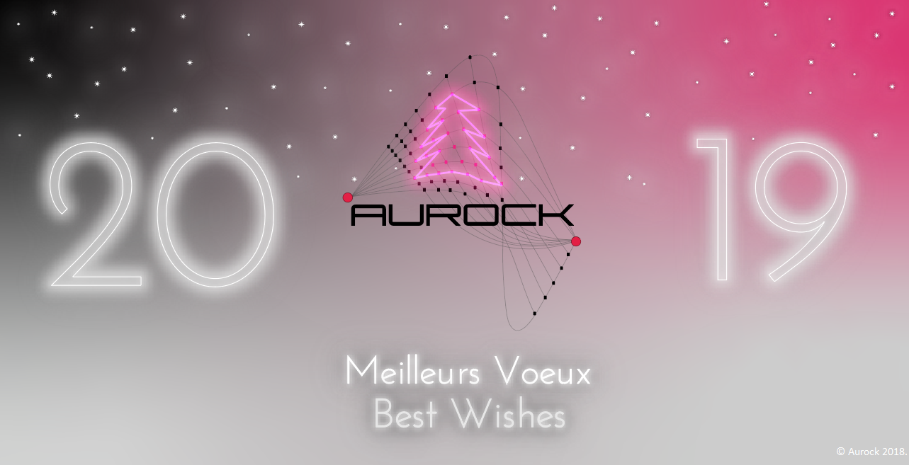 Voeux Aurock 2019